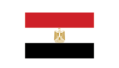 Egyptian Inst. for Diplomatic Studies